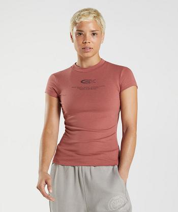 T Shirts Gymshark Gs10 Year Body Fit Mujer Rosas Marrones | CO 2253UZG